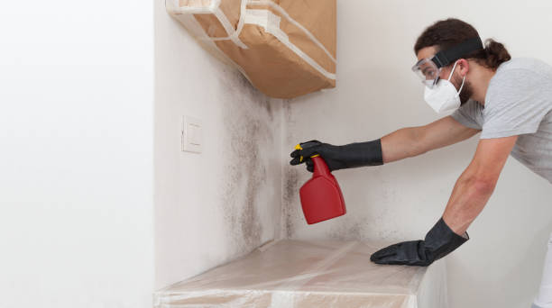 Professional Bathroom Mold Removal technician working in Sterling, VA