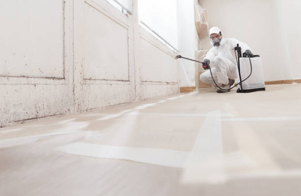 24/7 Emergency Bathroom Mold Removal experts in Sterling, VA
